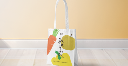 ペーパーショッピングバッグはなぜより人気があるのか