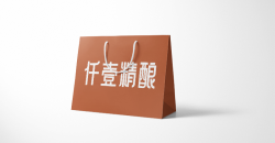 企業のショッピングバッグのデザイン印刷のケース