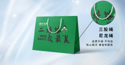 ショッピングバッグ収納